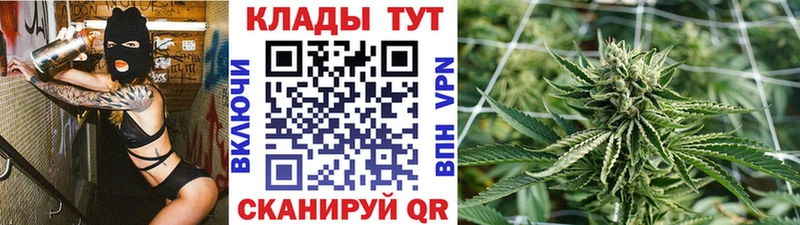 Купить закладку A PVP  Меф мяу мяу  Гашиш  Гатчина