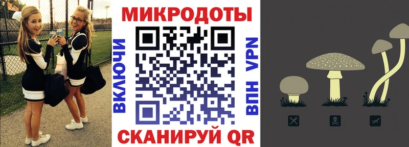 Псилоцибиновые грибы Magic Shrooms  Купить  Гатчина 